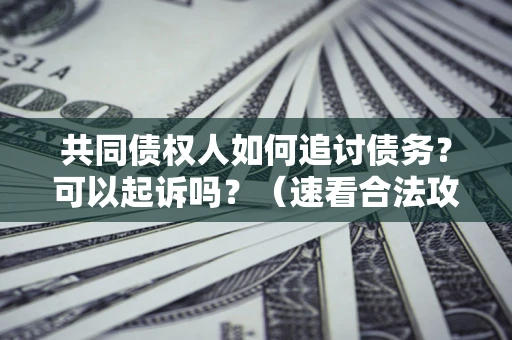 济南共同债权人如何追讨债务？可以起诉吗？（速看合法攻略）