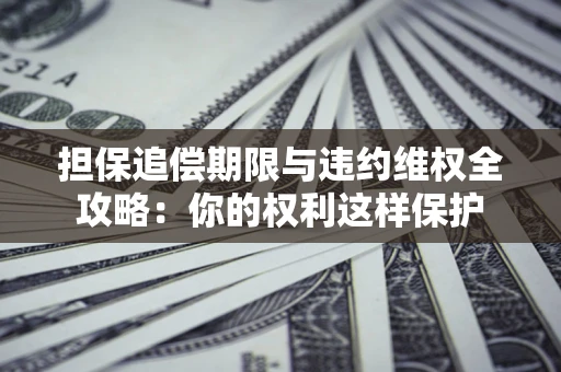 济南担保追偿期限与违约维权全攻略：你的权利这样保护